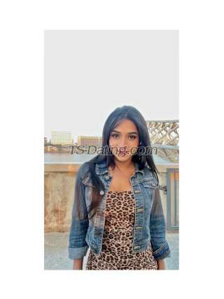 trans girl MISTYROY 8142369 trans girl MISTYROY 8142369