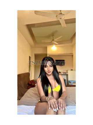 trans girl MISTYROY 8600705 trans girl MISTYROY 8600705