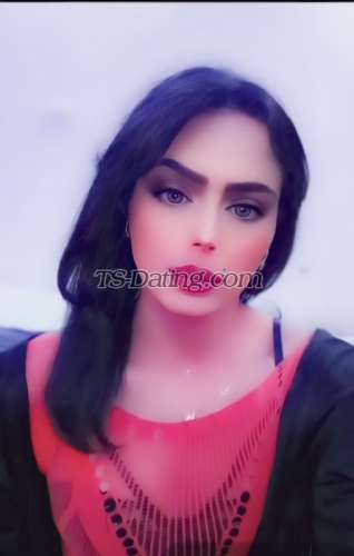 trans girl MOHRAVIP 6399685 trans girl MOHRAVIP 6399685