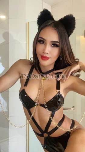 trans girl MUAYSEXY 3513202