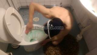 trans girl MadameTS 4190671 trans girl MadameTS 4190671