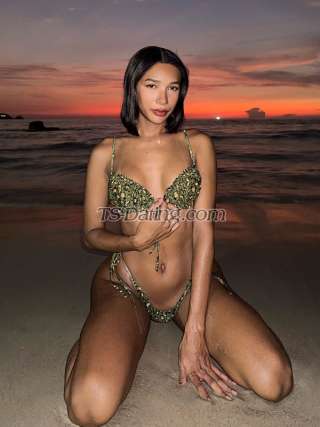 trans girl Madison2542 2603703 trans girl Madison2542 2603703