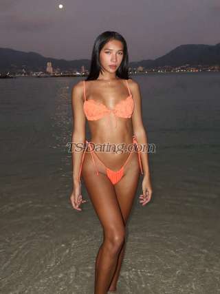 trans girl Madison2542 2604222 trans girl Madison2542 2604222