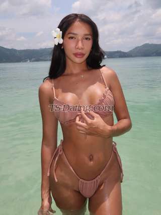 trans girl Madison2542 2604308 trans girl Madison2542 2604308