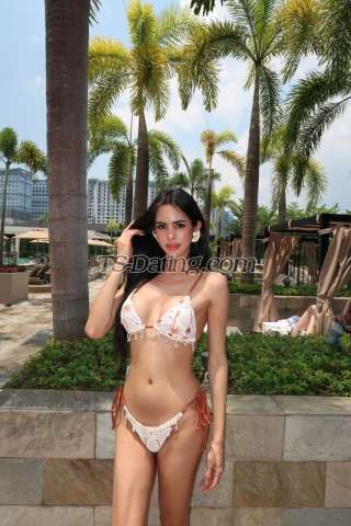 trans girl MadisonGrey 7975241 trans girl MadisonGrey 7975241