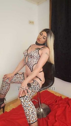 trans girl Madonnasex4u6 8151333 trans girl Madonnasex4u6 8151333