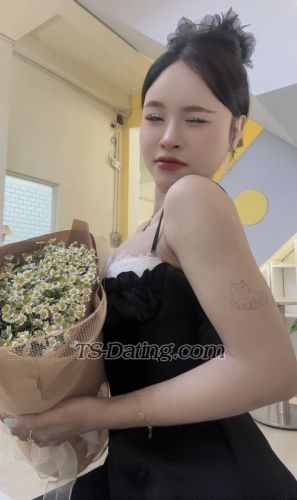 trans girl Mailinh134 2380212 trans girl Mailinh134 2380212