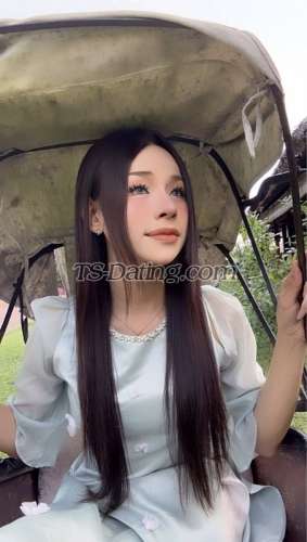 trans girl Mailinh134 7254665 trans girl Mailinh134 7254665