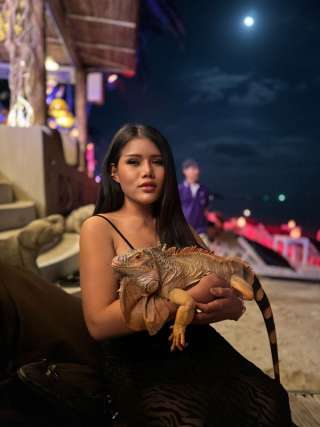 Maisleep12 0161339 Maisleep12 0161339