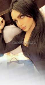 Malekaa Amman Transex Am maleka 26 years old 
now in jordan amman I live alone 
Shemale 
Top& pottom & both& ((mistress 👠))
Real picture 100% 😉👍.
If you're serious and want to meet me, send WhatsApp on my number❤️
00962780467191
ملكه شيميل ))عمان الاردن ))
(👠 توب &بوث& بوتوم&ميستريس) 
رقمي بس واتساب للتواصل 💋.