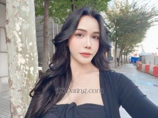 trans girl Mango23 6400363 trans girl Mango23 6400363