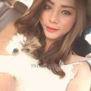 trans girl Manha 9786643 trans girl Manha 9786643