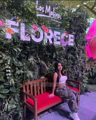 trans girl MaraDoll 8323331