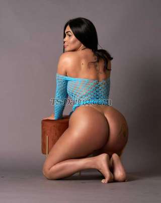 trans girl Marcely 7901321 trans girl Marcely 7901321