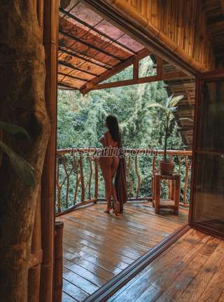 trans girl Margatrans 8164055 trans girl Margatrans 8164055