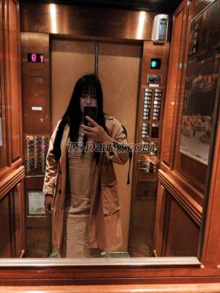 trans girl Mariaaliza 8089710 trans girl Mariaaliza 8089710