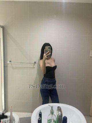 trans girl MaxineAndres 9797691 trans girl MaxineAndres 9797691