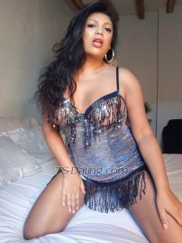 MayaMilan Milan Transex Hello dear... 

I'm Maya Ewa... I live in Milan... near the train station... I'm a mature and experienced trans... I'm 1.80 tall... I love class and education... if you came to Milan for vacation or work... I'm the best option for you in the city... I speak English... so... I can clearly explain where to meet and we can talk about whatever you want without having to use the virtual translator... 


I'll be waiting for you here in Milan💋 🔴 

More information, send a message to my WhatsApp number! 

**Available to travel throughout Europe