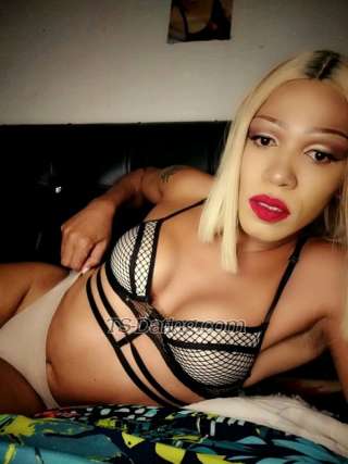 trans girl Medusa 0193868 trans girl Medusa 0193868