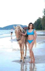 Meena89 Bangkok Transex 