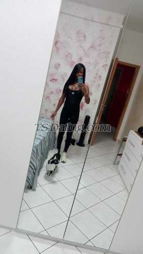 trans girl Megcastellan 4510415 trans girl Megcastellan 4510415