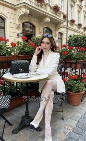 Megveliz Orchard Transex “STRONG TOP TS” FULLY FUNCTIONAL! CUM
LOADERWhatssap : +65 8930
6439❤️‍🔥💦✨❤️‍🔥💙 JUST
ARRIVED - NEW FRESH FACE just Landed New TS - New Face - New
.Experience New Taste 💦💦💦 just Limited Days
💋.Ts Amor is much BETTER in
PERSONAL(Videocall is a must , you can request for a
video call before coming to my room )…(Check my
Review 5🌟🌟🌟🌟🌟 Good and Quality Service
Provider)Services Offered : :⭐️ Sweetest
Bottom and Wildest Top ( Versatile Ladyboy )
⭐️Queen of Milking Prostaste and Erotic Massage is
my introductory service before we go to the finale
)⭐️ Tottaly Active and Erect ( Can CUM big
Load)Fully Functional💦⭐️Best Blow Job and a Good
Kisser💋⭐️Rimming / Licking⭐️CIM/CIF
69⭐️Roleplaying / Slight BDSM / Sissyfication /
Dressing Up .⭐️ Girl Friend Experience ( Cuddling ,
Sweetest Act , Romantic )⭐️First Timers are
Welcome⭐️NO RUSH Service⭐️Poppers and Toys
Available⭐️Incall (Safe and Clean Hotel ) and Out
Call⭐️And Many More (Best of the Both World a Total
Package)Note : I Am Clean , Always Shaved and Cut
💦💦The pleasure is always yours. I am Amor
Megbeliz,  a discreet courtesan, a playful mistress, a
delectable concubine, a caring girlfriend.... whatever it is
you wish, I can definitely be.I am a pre op transexual from
the Philippines with Filipino and Spanish descent.
I am educated, experienced and adventurous in all
aspects of life. I have always been interested in seeking
pleasures with same minded partners who are not afraid to
explore their sexuality. 😘I have experienced
and guided men on how to reach their deepest and kinkiest
carnal desires and satisfying their fantasies gave me the
ultimate pleasure and contentment. Do you like a
woman in a short skirt? Well,  I have the longest creamy
legs. Do you want someone in lingerie? Well my ample bosom
in lace would surely entice you. Do you like shiny
high heeled boots? Then let me slip it on.  Do you want a
woman who is fully naked and erect? Well darling, that can
be arranged…As Woody Allen said, 'I dont know
the question, but sex is the answer' So let me rephrase
that. ' I dont know the question? BUT I AM THE
ANSWER'Let your fantasy - meet reality - ME:) Amor
Megveliz..LEAVING SOON…🤩….🥰