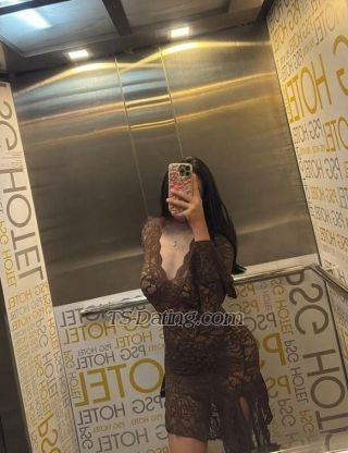 trans girl MemoCairo 6177873 trans girl MemoCairo 6177873