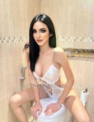 trans girl MemoCairo 6177934 trans girl MemoCairo 6177934