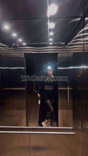 trans girl Memohot 6874724 trans girl Memohot 6874724