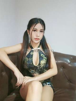 trans girl Merlymind 6837257 trans girl Merlymind 6837257