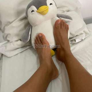 trans girl MiaLiu 1733147