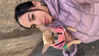 trans girl Michell13 0660525 trans girl Michell13 0660525