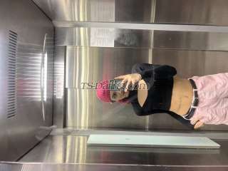 trans girl Michelle190 6878426 trans girl Michelle190 6878426