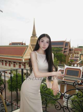 trans girl Michelleeiei 8962255 trans girl Michelleeiei 8962255