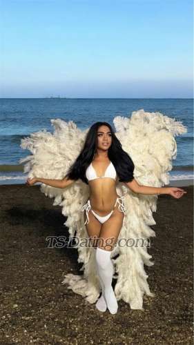 trans girl MicielaDaks 2068670 trans girl MicielaDaks 2068670