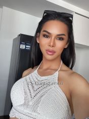 Milathaits Orchard Transex Hello 🙏Sawadee Ka 🙏
Visiting Singapore 🇸🇬 for 3days. (Orchard area)

Please contact me on what's app only +41762779309

My name is Nira 
Thai🇹🇭. a 25 years of age with 173cm tall. 63kg weight  7.5 inches top 🍆and bottom 🍑and I am 💯%real

I'm A beautiful and sexy Thai  Ladyboy. I'm feminine, sexy as fuck, sassy, hot and very slutty.
I'm educated, funny, confident and always willing to please my men.

If you're looking to relax and forge the world then come spend some quality time with me. I love pleasing and I especially love when someone pleases me. Suck and stroke my cock. Please worship my cock. It's such a turn on to see a man praise my hard cock and worship it.
Come enjoy a good time with me and something more with a passionate, sensitive warm hot sexy fun experience please contact me.

please text or call to book in advance 

👄👄Never try never know. 👄👄
 
👍 —-Service—👍
✅-Top 🍆& Bottom🍑
✅-Blowjob👄
✅-Anal sex and Play🍑
✅-All photos 100000% real👍
✅-My cock Big long story hard🍆
✅-Sexy and activities 🔥
✅-Kissing 😘
✅-massage💆‍♂️
 
*all safe ❌
*no extra nude picd send.❌
*I have clear face and body pictures on my profile ❌
*DON'T HESITATE TO CALL OR TEXT ME ❌
*ONLY GENUINE CUSTOMERS ARE WELCOME.❌
*PLEASE TREAT ME WITH RESPECTS!!❌
 
🥹*Looking forward to see you guys soon😍😍😜😜
 
Please contact me on what's app only +41762779309
