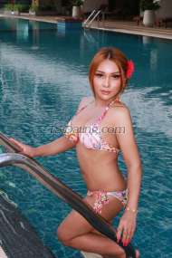 Mimee 7979 Bangkok Transex UMy name is mimee,I am a very active feminine
lady, where many men think that I am a real lady. Yes -
[ ] Which I am, but have a very nice medium size surprise,
which I can be very active with, however can perform top and
bottom, and you will not behappens. i sexy ladyboy in
bangkoki can doe everything for spacia service good top
and great bottom just let me know suck deep lick your ball
everything good in the bed sexy and perfact body and have a
nice cock six inchMy picture is real         
Contact me   WhatsApp  +66
807011885❤️❤️                                       
                                  
❤️❤️Line:mimee3272❤️❤️                      
                                                            
      ❤️❤️Wechat:Mimee3838❤️❤️             