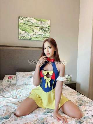 trans girl MinieLadyboy 9657162 trans girl MinieLadyboy 9657162