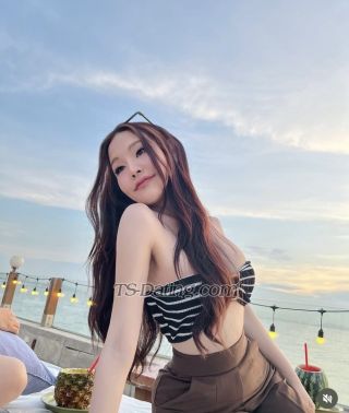 trans girl Mintty 3608227 trans girl Mintty 3608227