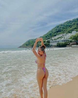 trans girl Mirabela 7993565 trans girl Mirabela 7993565