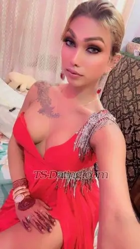 Shemale MissBebo69 3783165 Shemale MissBebo69 3783165