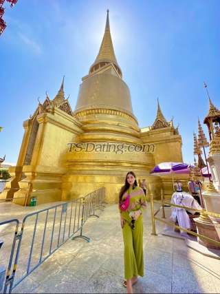 trans girl Missbasu 2558881 trans girl Missbasu 2558881