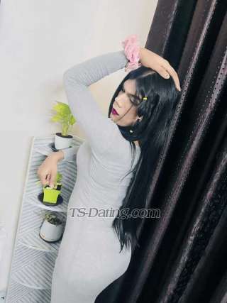 trans girl Misshellina 2652744