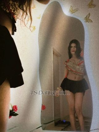Shemale-Misshellina-8544228