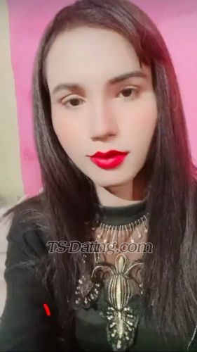 trans girl Missrose 7663740 trans girl Missrose 7663740