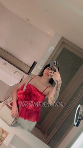 trans girl Misstessjenny 6124898 trans girl Misstessjenny 6124898