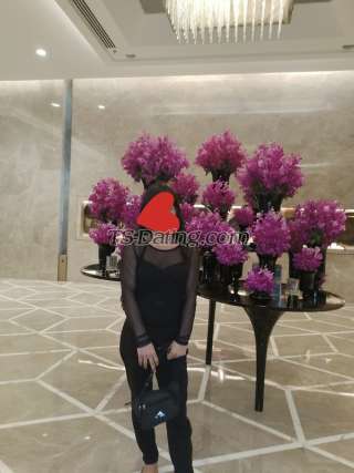 trans girl Misstrsvedii 6271340 trans girl Misstrsvedii 6271340