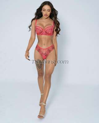 trans girl Misscolucci 8769730 trans girl Misscolucci 8769730