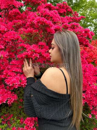 trans girl Mistikazy 4241200 trans girl Mistikazy 4241200