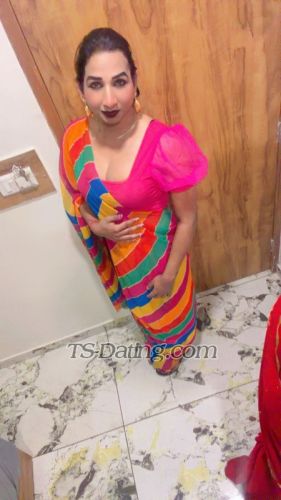 trans girl Mistresssheet 6096297